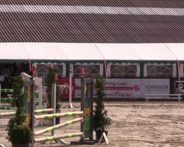 Reitturnier Havixbeck 2017
