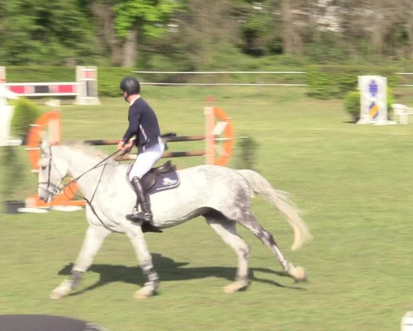 Reitturnier Jülich 2017