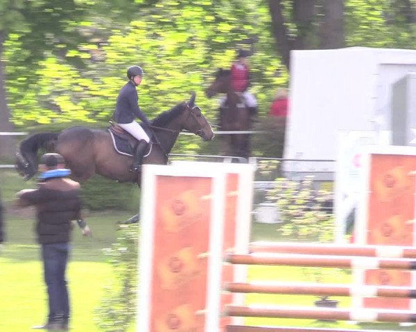 Reitturnier Jülich 2017