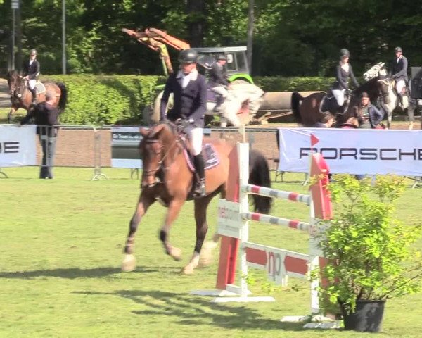 Reitturnier Jülich 2017