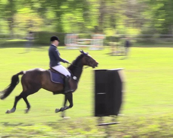 Reitturnier Jülich 2017