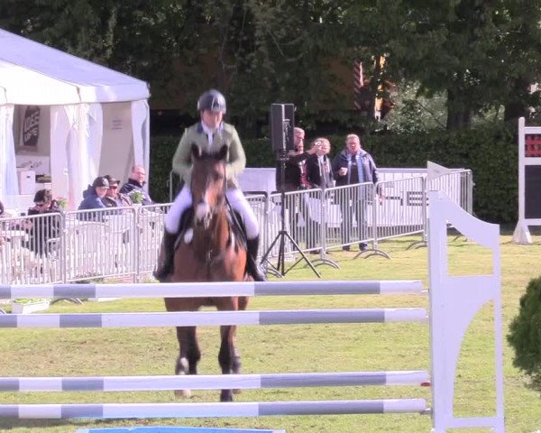 Reitturnier Jülich 2017