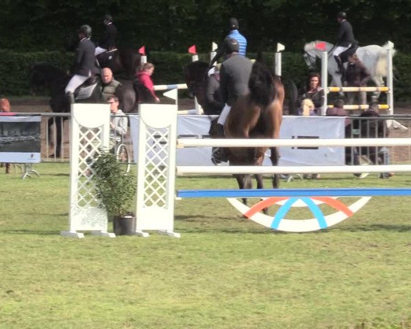 Reitturnier Jülich 2017