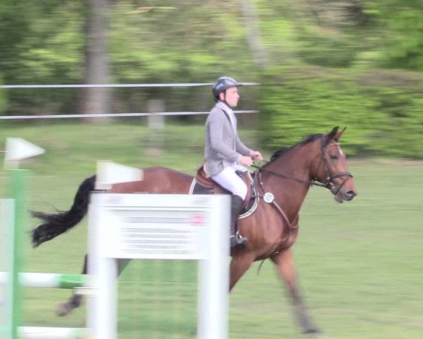 Reitturnier Jülich 2017