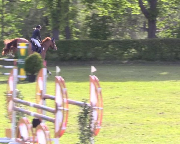 Reitturnier Jülich 2017