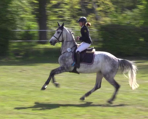 Reitturnier Jülich 2017