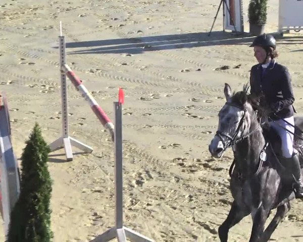 Reitturnier Leutkirch-Diepoldshofen 2017