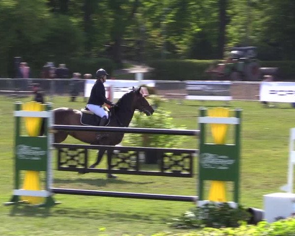 Reitturnier Jülich 2017