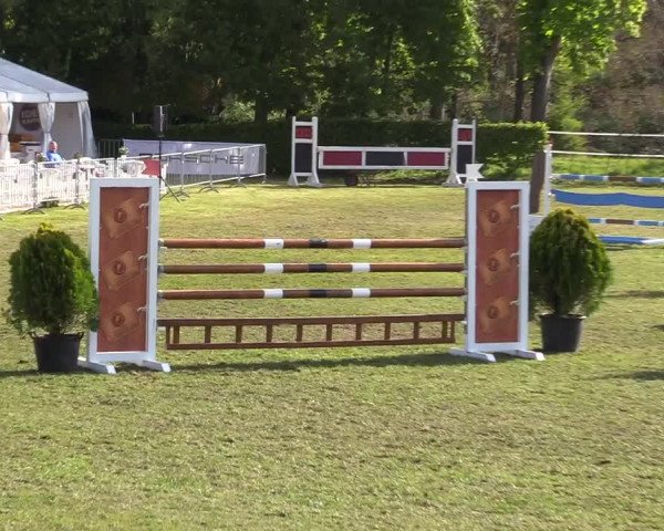 Reitturnier Jülich 2017