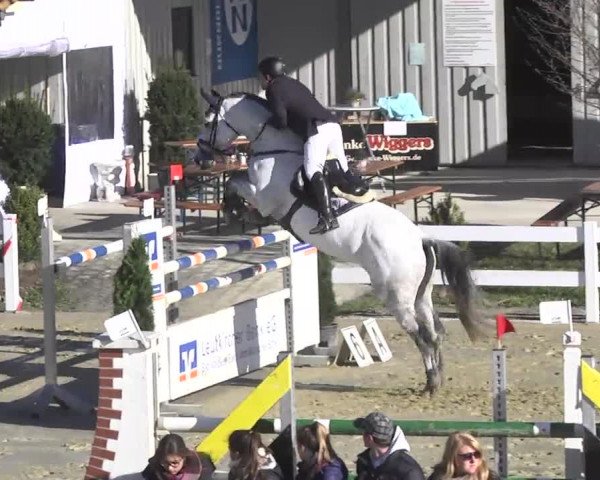 Reitturnier Leutkirch-Diepoldshofen 2017