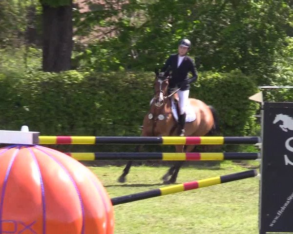 Reitturnier Jülich 2017