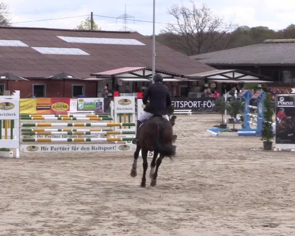 Reitturnier Havixbeck 2017
