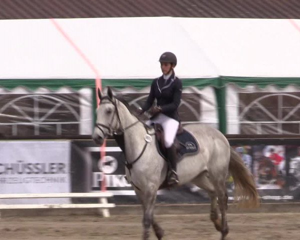 Reitturnier Havixbeck 2017