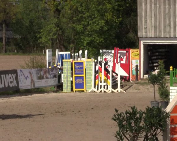 Reitturnier Havixbeck 2017