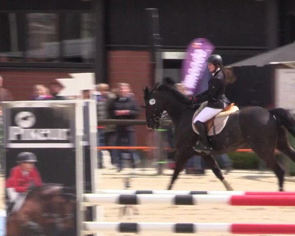 Reitturnier Havixbeck 2017