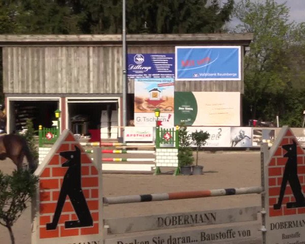 Reitturnier Havixbeck 2017