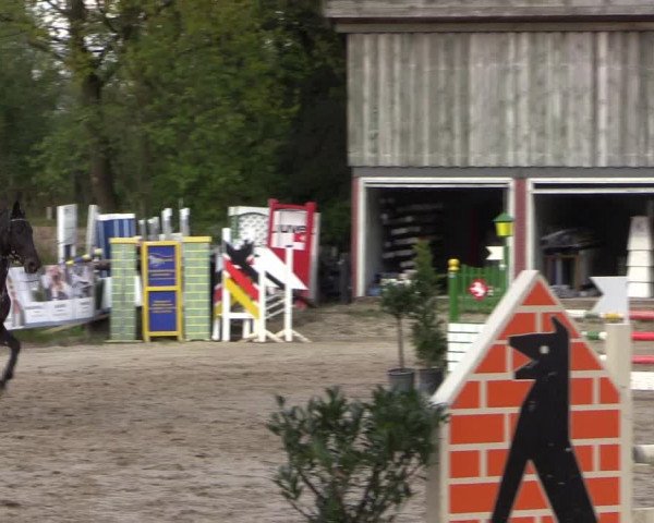 Reitturnier Havixbeck 2017
