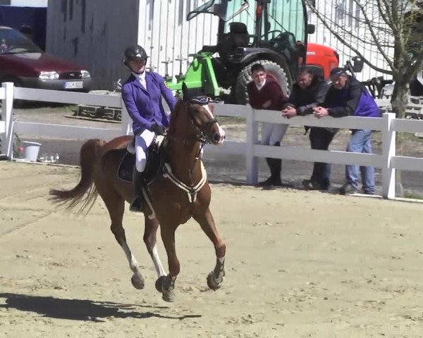 Reitturnier Leutkirch-Diepoldshofen 2017