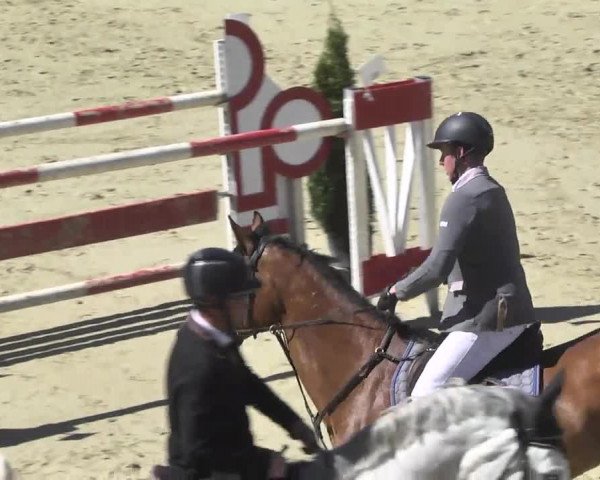 Reitturnier Leutkirch-Diepoldshofen 2017