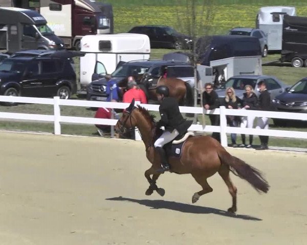 Reitturnier Leutkirch-Diepoldshofen 2017