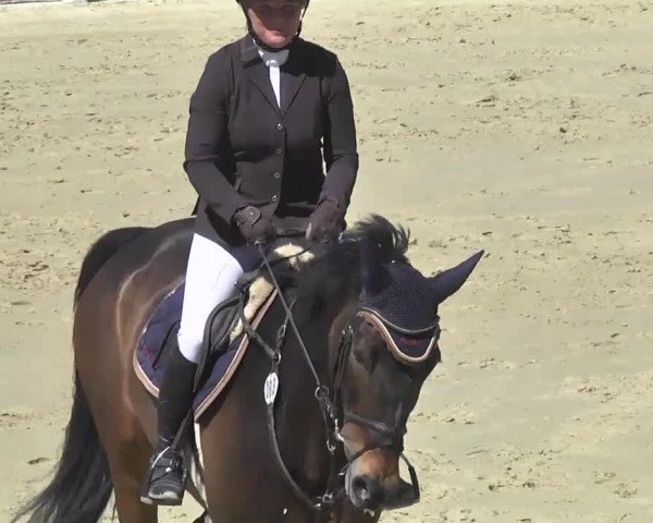 Reitturnier Leutkirch-Diepoldshofen 2017
