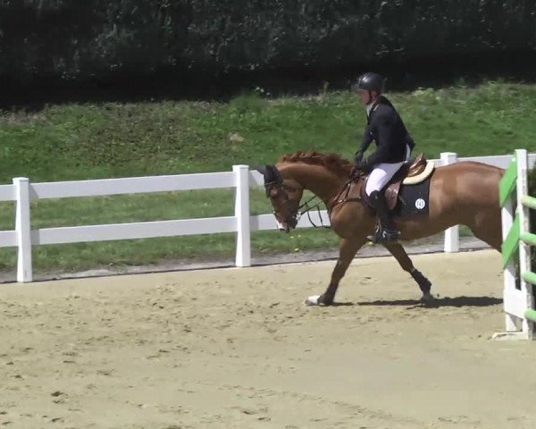 Reitturnier Leutkirch-Diepoldshofen 2017