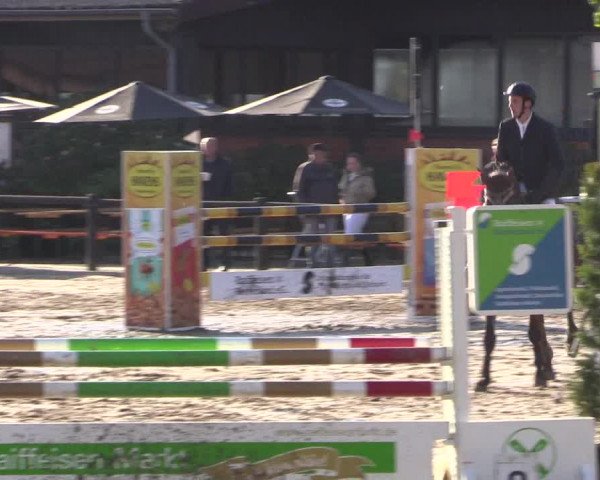 Reitturnier Havixbeck 2017