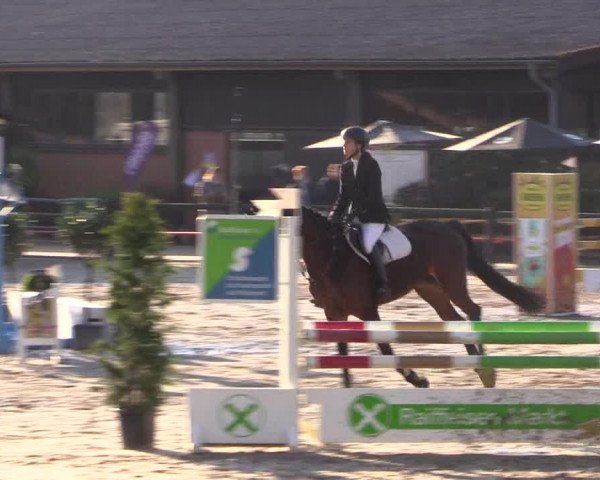 Reitturnier Havixbeck 2017