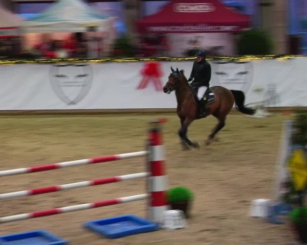 Christmas Jumping Trophy Prussendorf 2021