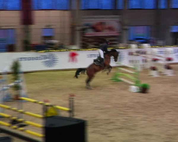 Christmas Jumping Trophy Prussendorf 2021