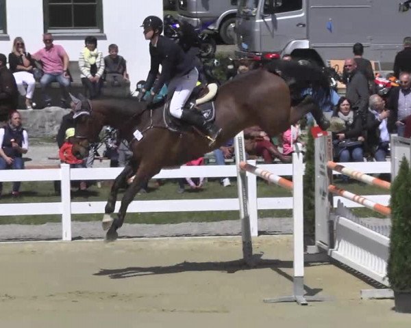 Reitturnier Leutkirch-Diepoldshofen 2017