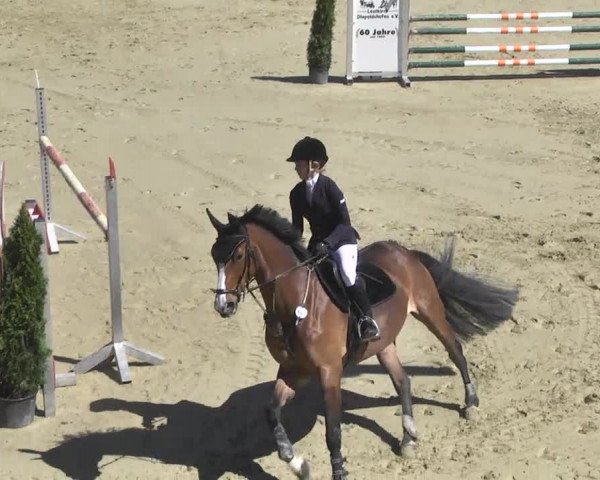 Reitturnier Leutkirch-Diepoldshofen 2017