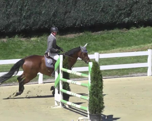 Reitturnier Leutkirch-Diepoldshofen 2017