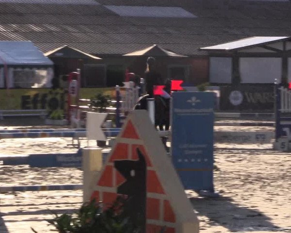 Reitturnier Havixbeck 2017