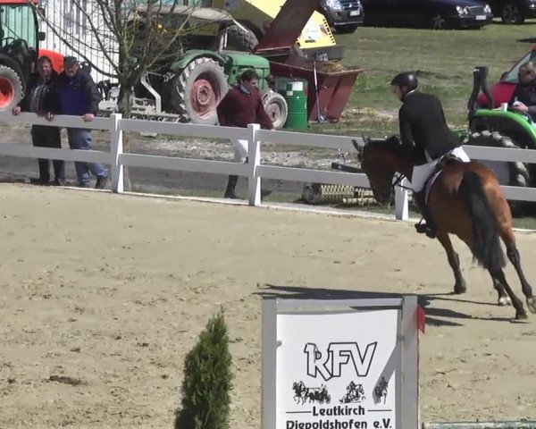 Reitturnier Leutkirch-Diepoldshofen 2017