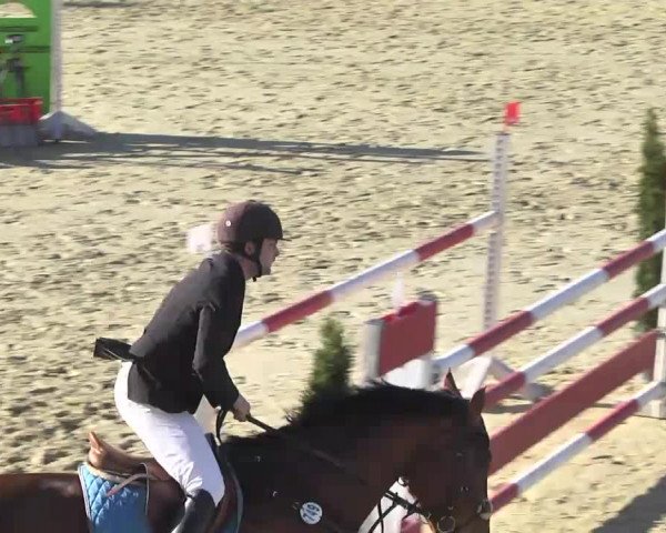 Reitturnier Leutkirch-Diepoldshofen 2017