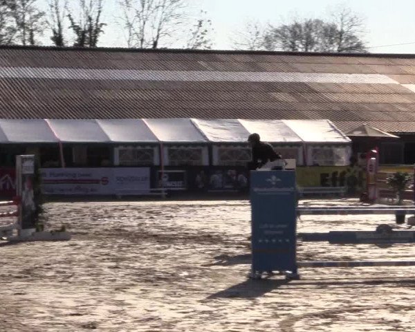 Reitturnier Havixbeck 2017