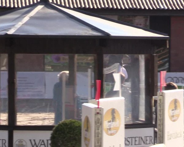 Reitturnier Havixbeck 2017