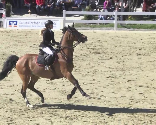 Reitturnier Leutkirch-Diepoldshofen 2017