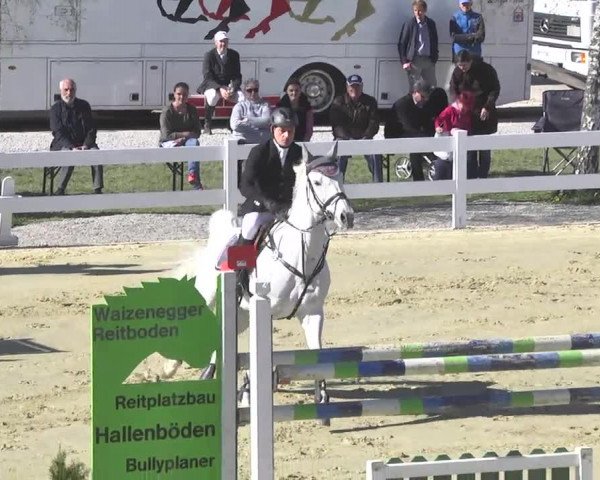 Reitturnier Leutkirch-Diepoldshofen 2017