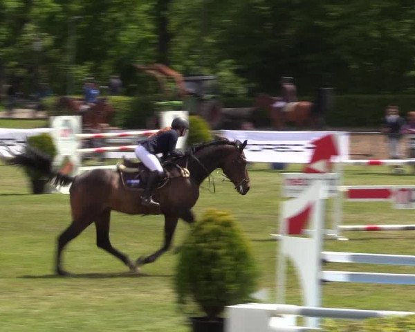Reitturnier Jülich 2017