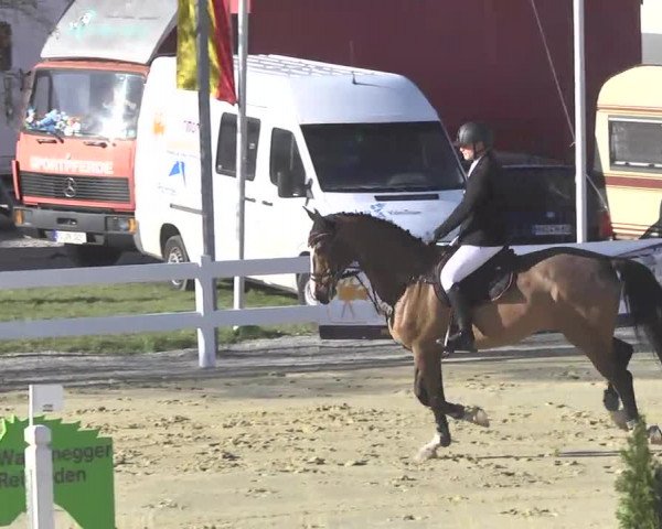 Reitturnier Leutkirch-Diepoldshofen 2017