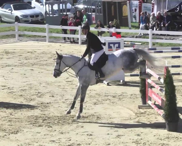 Reitturnier Leutkirch-Diepoldshofen 2017