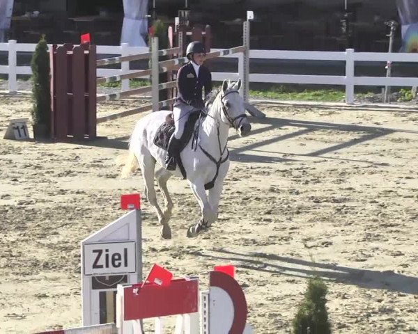 Reitturnier Leutkirch-Diepoldshofen 2017
