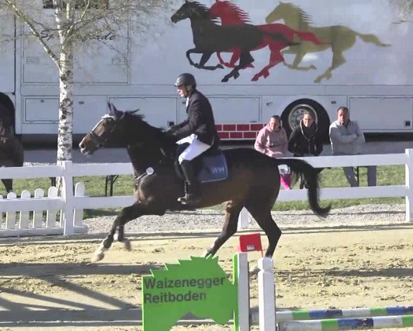 Reitturnier Leutkirch-Diepoldshofen 2017