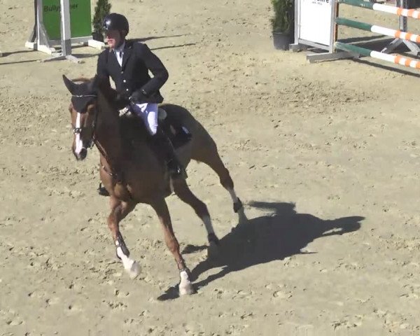 Reitturnier Leutkirch-Diepoldshofen 2017