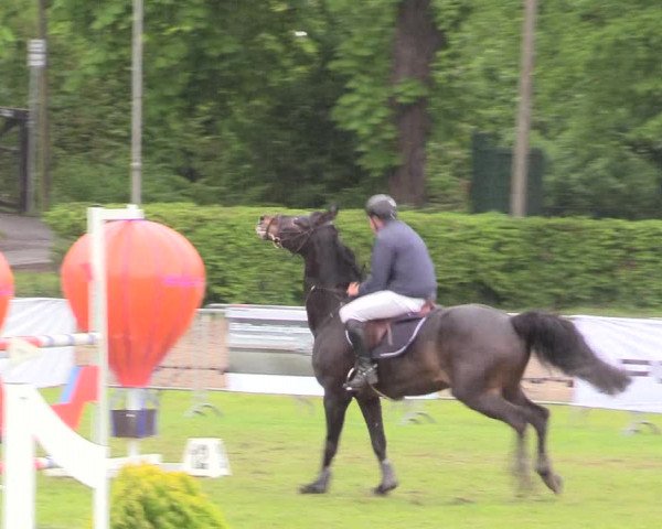 Reitturnier Jülich 2017