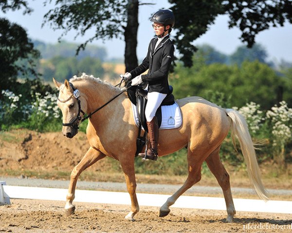 dressage horse Lucky Lightning (German Riding Pony, 2016, from Lucky One)