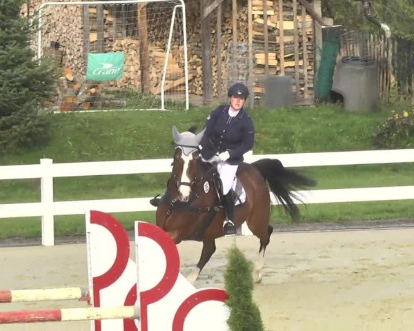Reitturnier Leutkirch-Diepoldshofen 2017