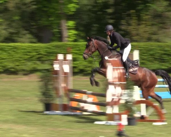 Reitturnier Jülich 2017